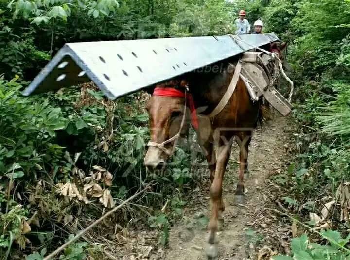 騾馬運輸